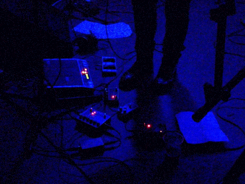 gif of the floor covering in pedals under flashing rainbow lights