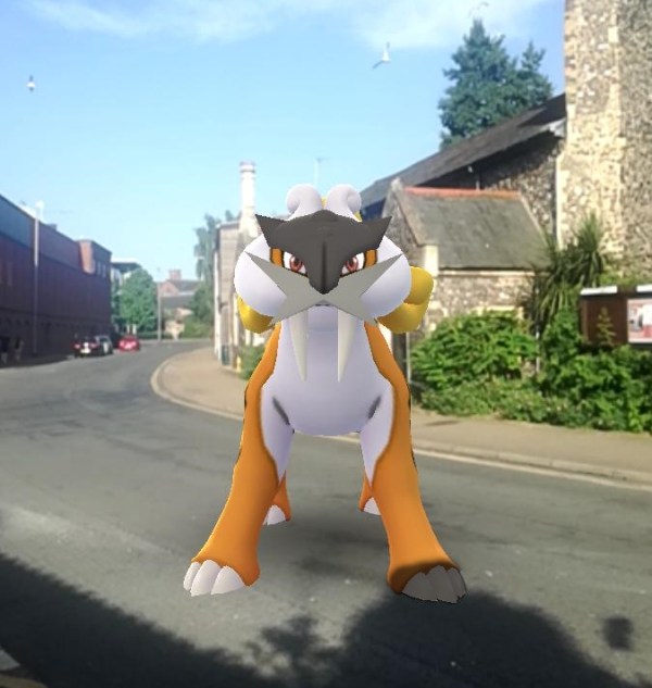 Shiny Raikou in the road.